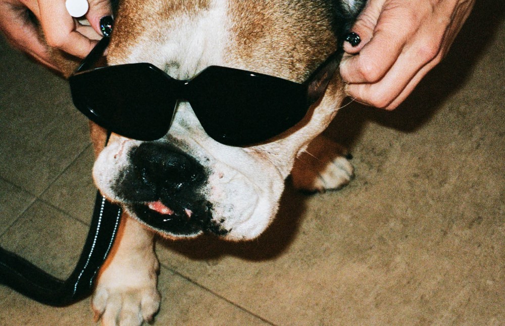 Lula Pace Hollywood Hills 03